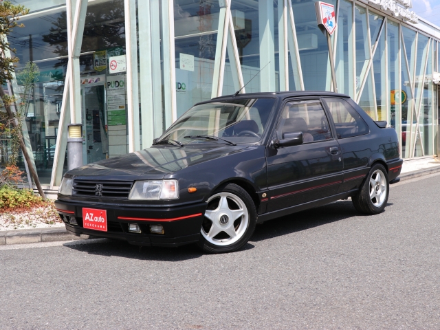 ３０９　ＧＴＩ