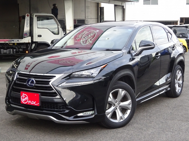 ＮＸ３００ｈ　ＡＷＤ　バージョンＬ