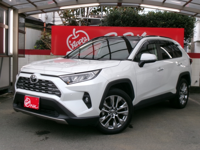 ＲＡＶ４　４ＷＤ　Ｇ　Ｚパッケージ