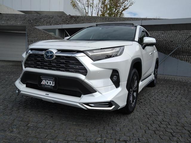 ＲＡＶ４　４ＷＤ　ハイブリッドＧ　モデリスタエアロ・ディス