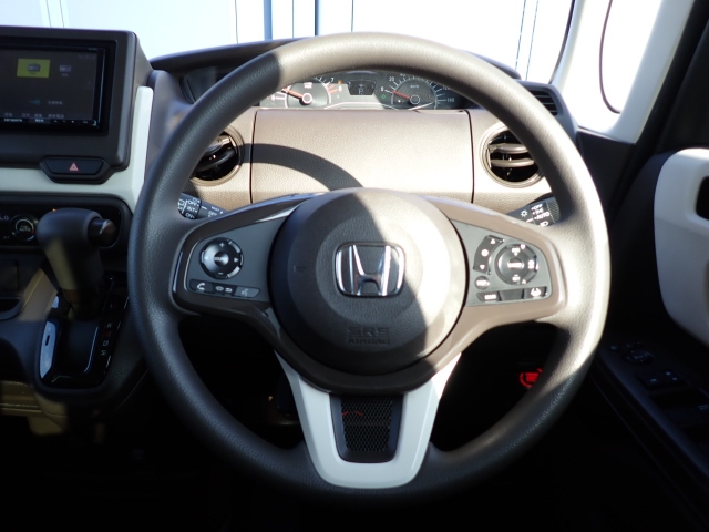 �X�e�A�����O�͂ƂĂ����ꂢ�ȏ�Ԃł���