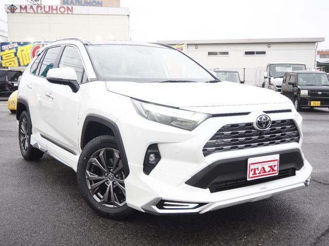 ＲＡＶ４　４ＷＤ　ハイブリッドＧ　モデリスタエアロ　パノラ