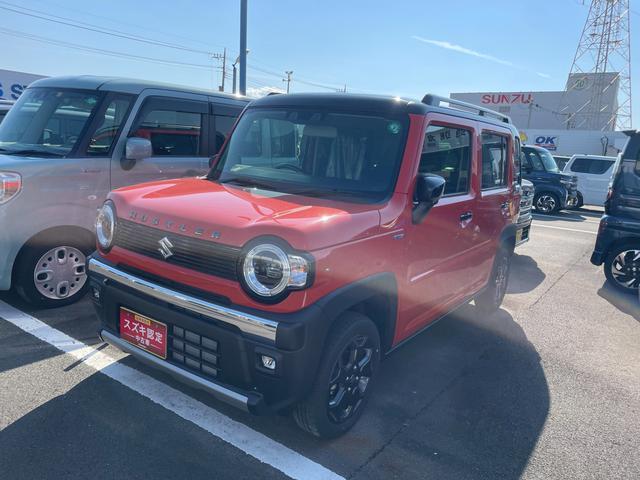 ハスラー　タフワイルド　３型