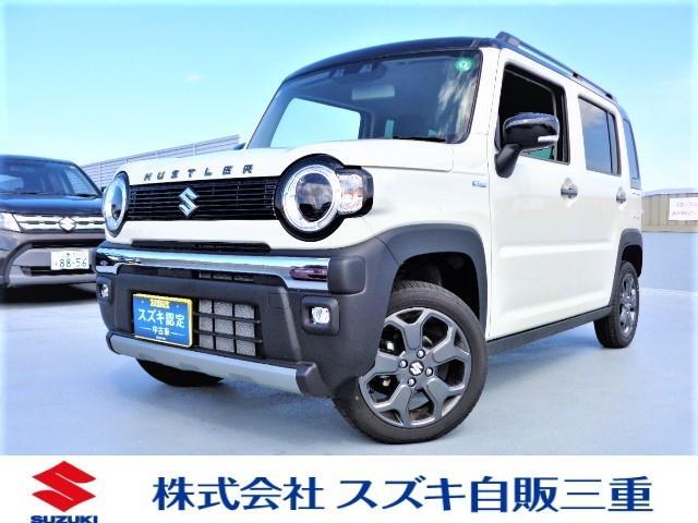 ハスラー　タフワイルド　３型