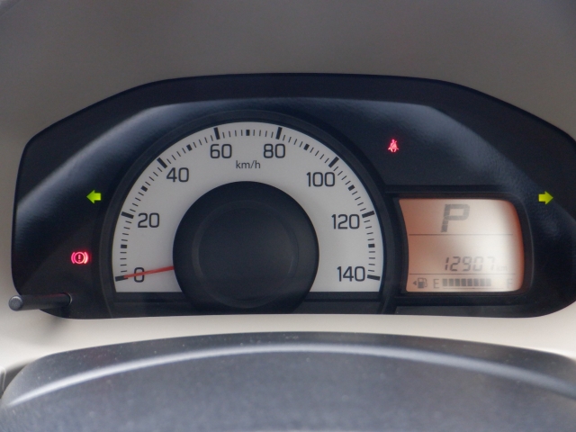 ���[�^�[�p�l�����m�肽����񂪈�ڗđR�ł��ˁB