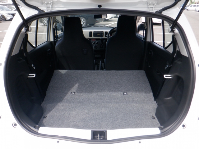 �㕔���Ȕw������͓|�������\�ł���ו��̗ʂɉ����ăA�����W�o����̂ŁA�������ł��ˁI