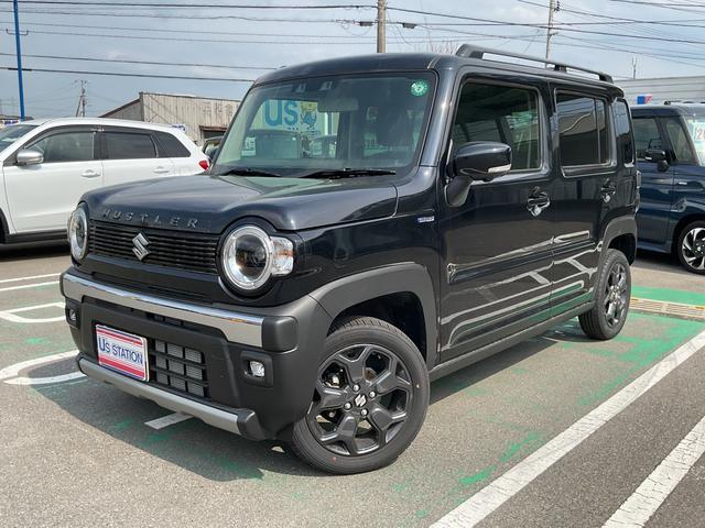 ハスラー　タフワイルド　３型
