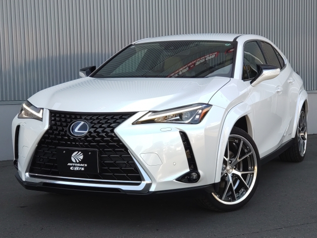 ＵＸ２５０ｈ　ＡＷＤ　ベースグレード
