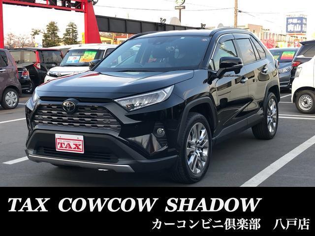 ＲＡＶ４　４ＷＤ　Ｇ　Ｚパッケージ　４ＷＤ　横滑り防止装置
