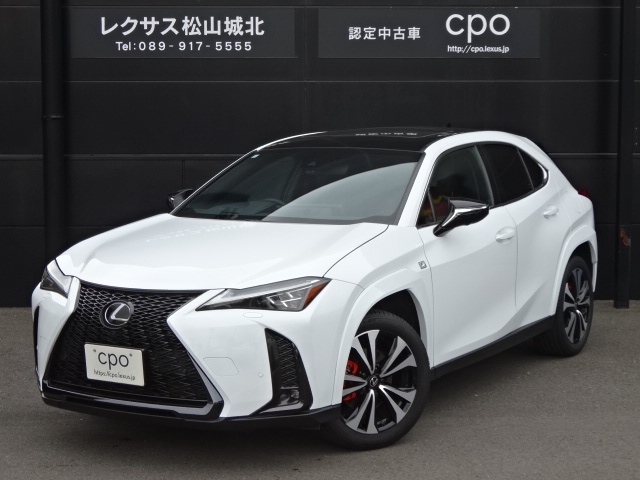 ＵＸ２５０ｈ　Ｆスポーツエモーショナルエクスプローラー