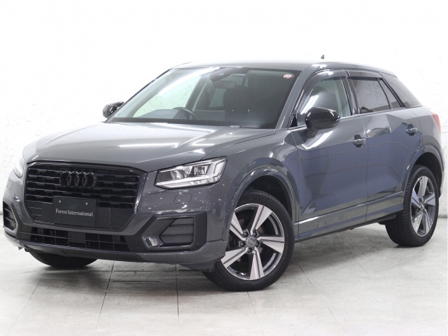 Ｑ２　１．０　ＴＦＳＩ　スポーツ