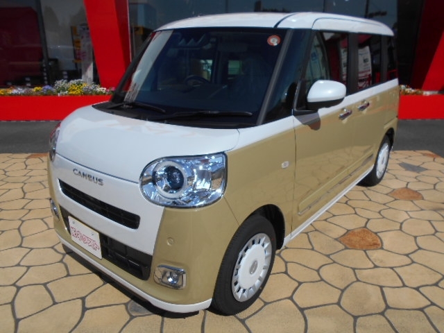 ムーヴ　キャンバス　ストライプス　Ｇ