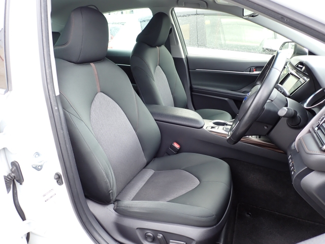 �^�]�Ȃ��傫�ȎC����Ȃ���ԗǍD�ł��B