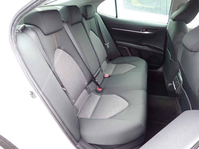 �㕔���Ȃ��傫�ȎC����Ȃ���ԗǍD�ł��B