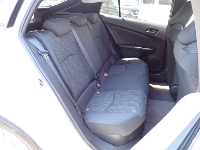 �㕔���Ȃ��傫�ȎC����Ȃ���ԗǍD�ł��B