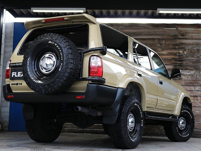 ��������̒ǉ��J�X�^�������C�����������I