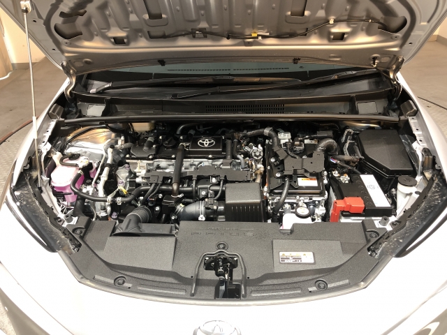 �����S�̃I���b�N�X�F�蒆�ÎԂ́A�S�ԁw�C���𖳂��x���S�ԔF�菑�t���I�I���M�������Ă����߂ł���F�蒆�ÎԂ𐥔�䗗������������