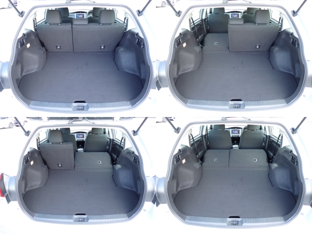 �㕔���Ȕw������͕������Ă���̂ŁA�ʁX�ɓ|�������\�ł���ו��̗ʂɉ����ăA�����W�o����̂ŁA�������ł��ˁI