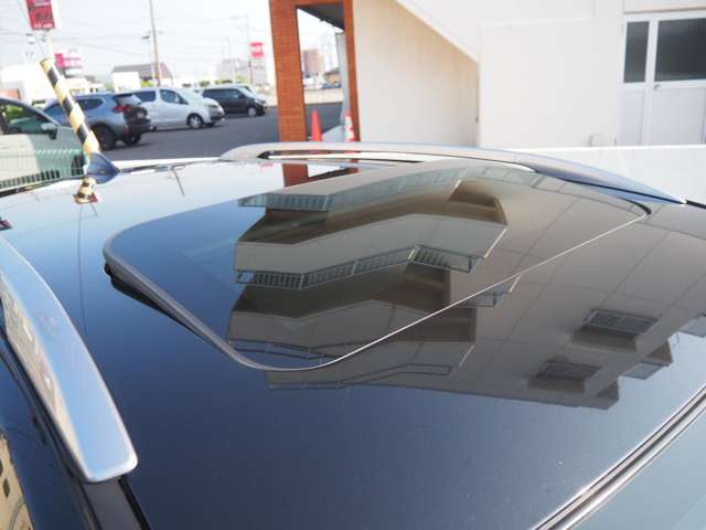 �n�o�����̃T�����[�t���ځI���C��̌��͂�