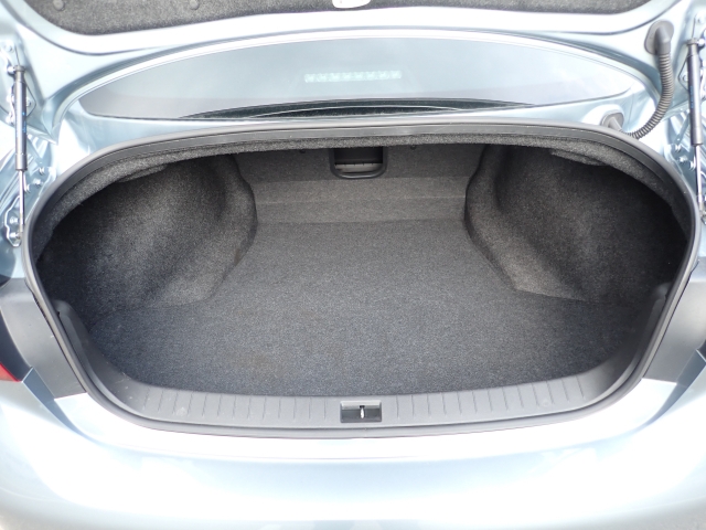 �傫�ȎC����Ȃ���ԗǍD�ł��B