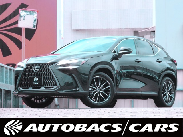 ＮＸ２５０(レクサス) バージョンＬ 中古車画像