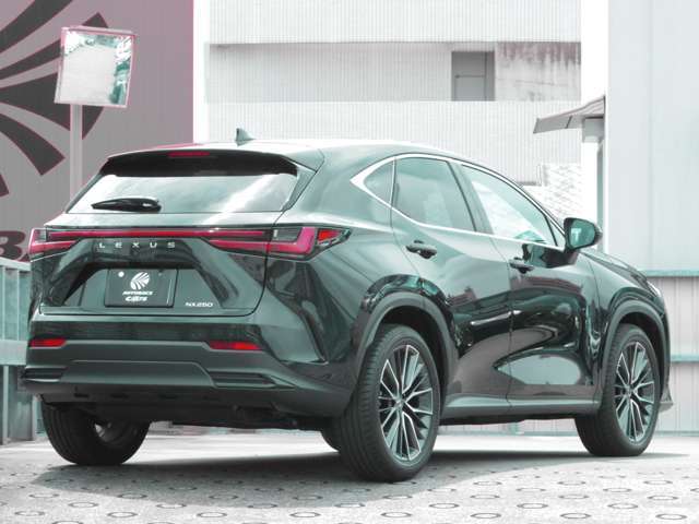 斜め後方側外装状態