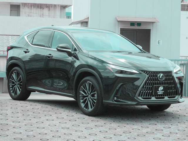 斜め前方からの外装状態