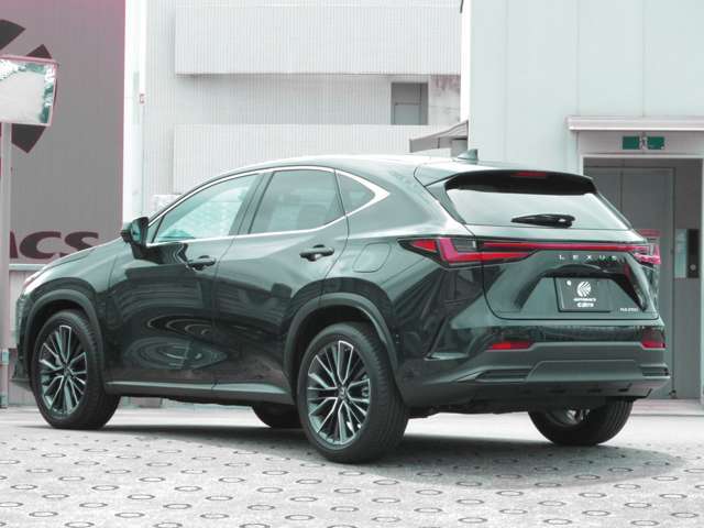 斜め後方側外装状態