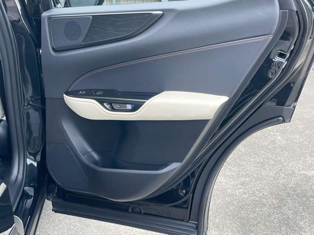 ドア内張、スイッチ付近