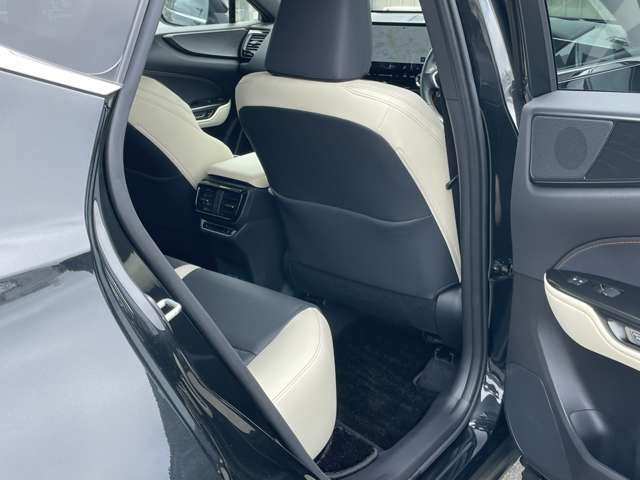 ドア内張、スイッチ付近