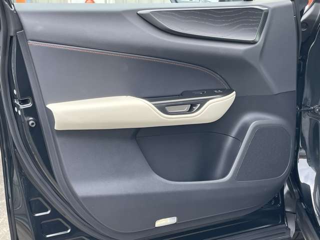 ドア内張、スイッチ付近