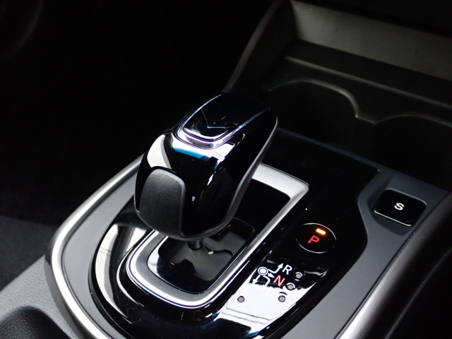 �l�C�̃n�C�u���b�h�Ԃł��B