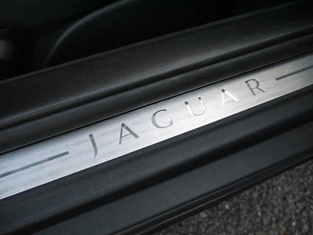 �W���K�[�X�J�b�t�v���[�g