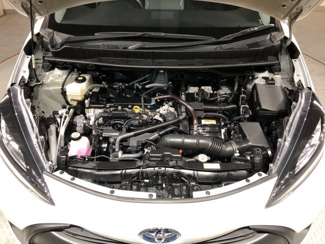 �����S�̃I���b�N�X�F�蒆�ÎԂ́A�S�ԁw�C���𖳂��x���S�ԔF�菑�t���I�I���M�������Ă����߂ł���F�蒆�ÎԂ𐥔�䗗������������