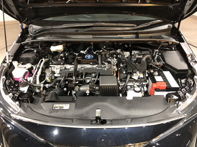 ���Ђ̂��Ԃ܂��̓��[�X�ɂ������̕��́A���C�y�ɂ��₢���킹���������܂����c