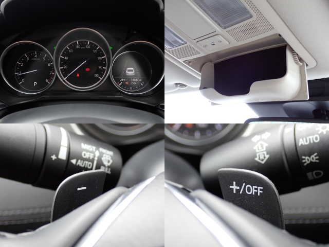 ���[�^�[�p�l�����m�肽����񂪈�ڗđR�ł��ˁB