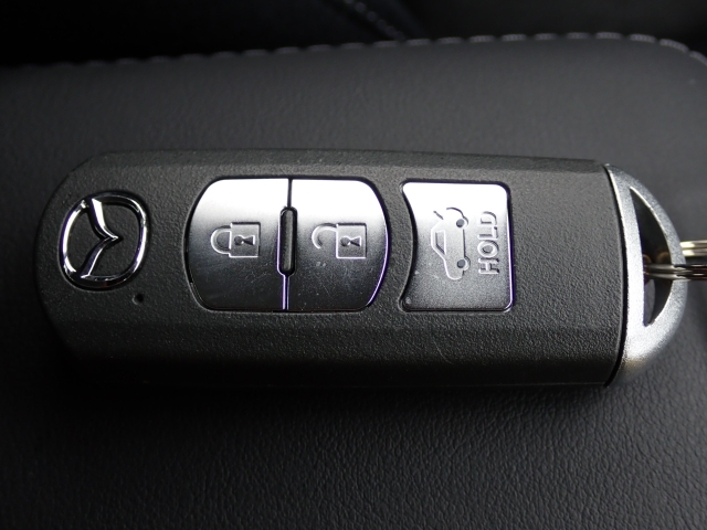 ���Ƃ��Ă��֗��ȃX�}�[�g�L�[�V�X�e���������g�т��邾���Ńh�A���̎{���E�J���E�G���W���n�����\�ȃX�}�[�g�L�[�V�X�e��