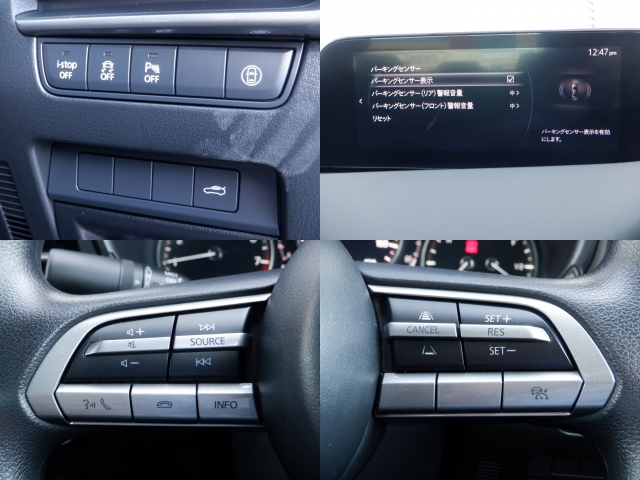 ������E�X�s���h�~�̈��S���u�𑕔����Ă���܂��B�����I�Ƀu���[�L�E�A�N�Z���𐧌䂵�ċ��������肳���鑕�u�ł��B�����Ƃ����������S�̑����ł��B