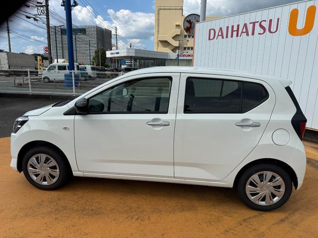 �l�C�̃J���[��