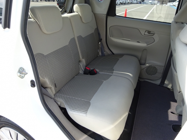 �㕔���Ȃ��傫�ȎC����Ȃ���ԗǍD�ł��B