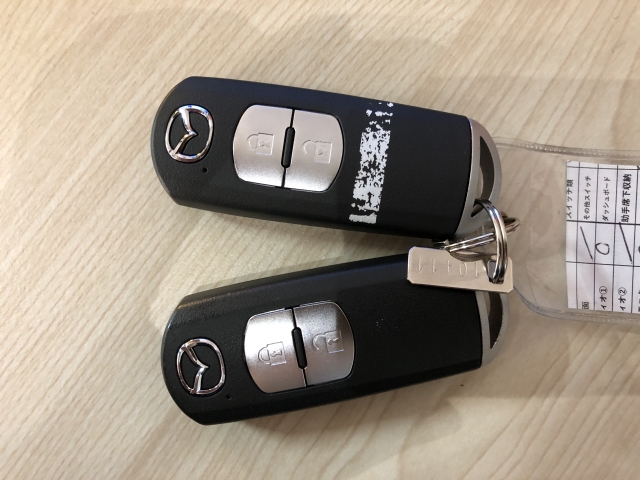 �g�т��邾���Ńh�A���̎{���E�J���E�G���W���n�����\�ȃX�}�[�g�L�[�V�X�e���𑕔����Ă���܂��B�֗����̃V�X�e���͈�x�g���Ǝ�����܂���B�Z�L�����e�B�ʂł����S�ł��B