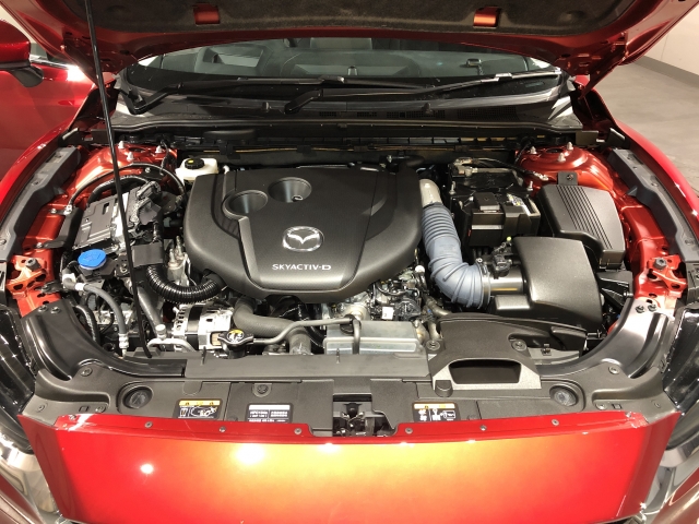 �����S�̃I���b�N�X�F�蒆�ÎԂ́A�S�ԁw�C���𖳂��x���S�ԔF�菑�t���I�I���M�������Ă����߂ł���F�蒆�ÎԂ𐥔�䗗������������