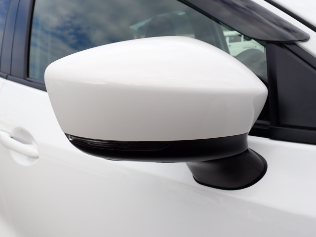 �I���b�N�X�F�蒆�ÎԂ͑S�ԊӒ菑�t���B�������AIS�̌�����S�ԗ��Ɏ��{��1�䂲�Ƃɕ]���_�̂����F�菑�̔��s���s���Ă���܂��B