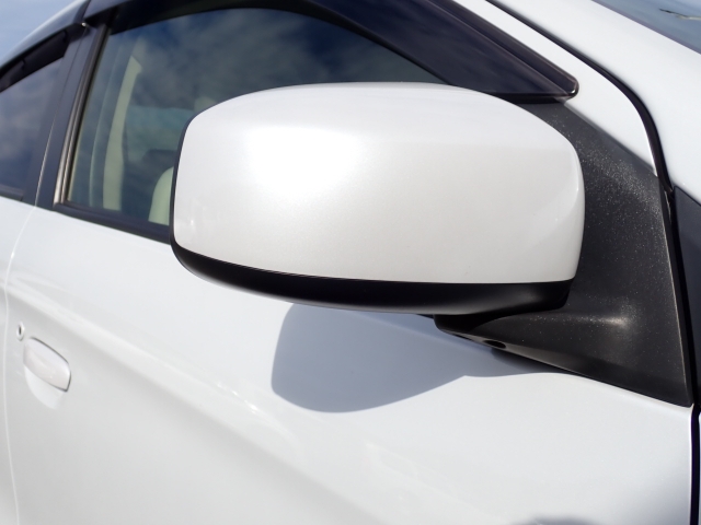 �I���b�N�X�F�蒆�ÎԂ͑S�ԊӒ菑�t���B�������AIS�̌�����S�ԗ��Ɏ��{��1�䂲�Ƃɕ]���_�̂����F�菑�̔��s���s���Ă���܂��B