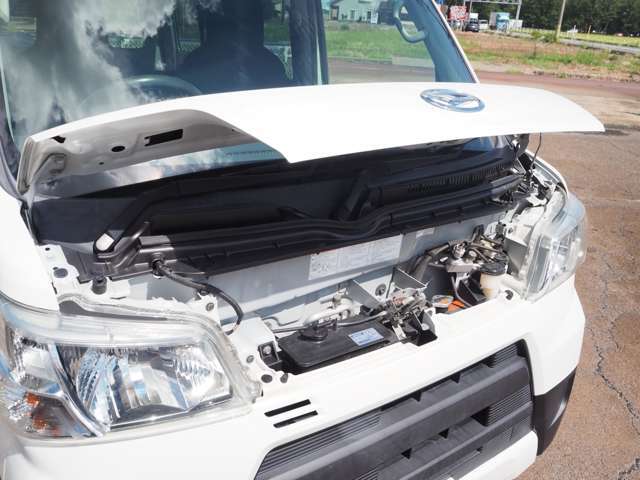 �����P�P�U�������u�k�z�H�Ɨl�v�i�G�A�[�}