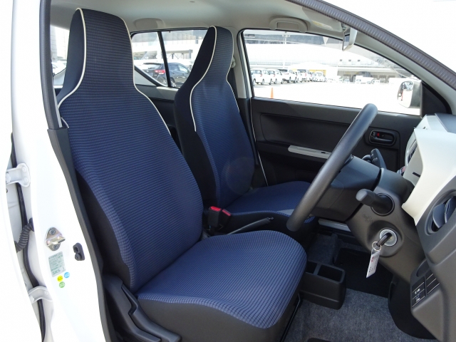 �^�]�Ȃ��傫�ȎC����Ȃ���ԗǍD�ł��B