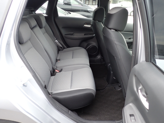 �㕔���Ȃ��傫�ȎC����Ȃ���ԗǍD�ł��B