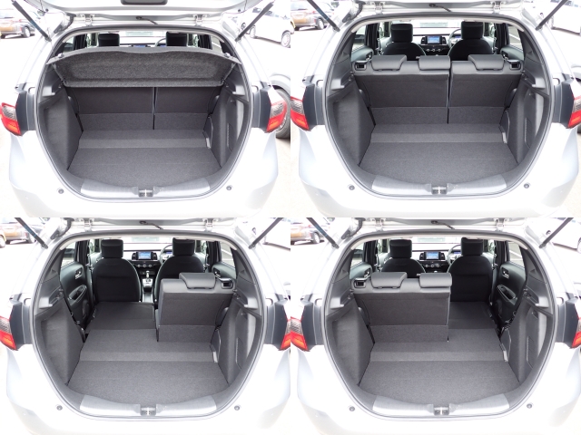 �㕔���Ȕw������͕������Ă���̂ŁA�ʁX�ɓ|�������\�ł���ו��̗ʂɉ����ăA�����W�o����̂ŁA�������ł��ˁI