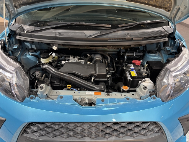 �����S�̃I���b�N�X�F�蒆�ÎԂ́A�S�ԁw�C���𖳂��x���S�ԔF�菑�t���I�I���M�������Ă����߂ł���F�蒆�ÎԂ𐥔�䗗������������