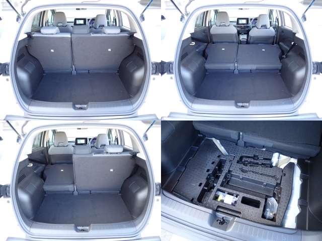 �㕔���Ȕw������͕������Ă���̂ŁA�ʁX�ɓ|�������\�ł���ו��̗ʂɉ����ăA�����W�o����̂ŁA�������ł��ˁI